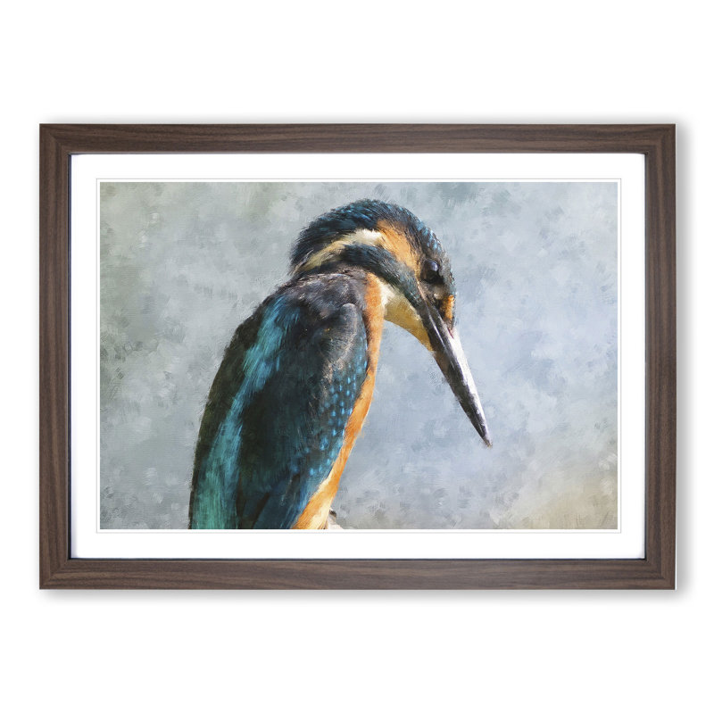 Kingfisher Bird Vol.1 - Framed Print, 36cm H x 48cm W x 2cm D, Walnut Framed