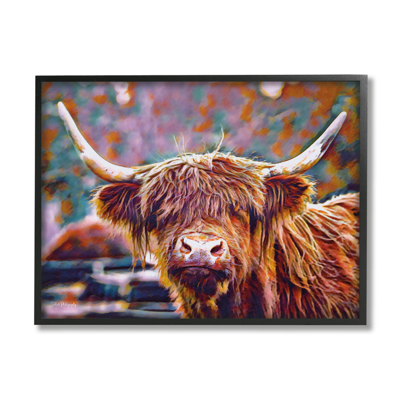 Highland Bétail moderne sur bois par Dakota Diener, photographie, H 24 po x l 30 po x P 1,5 po, Giclée encadrée noir minuit