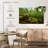 Roman Garden Snail-1530417731