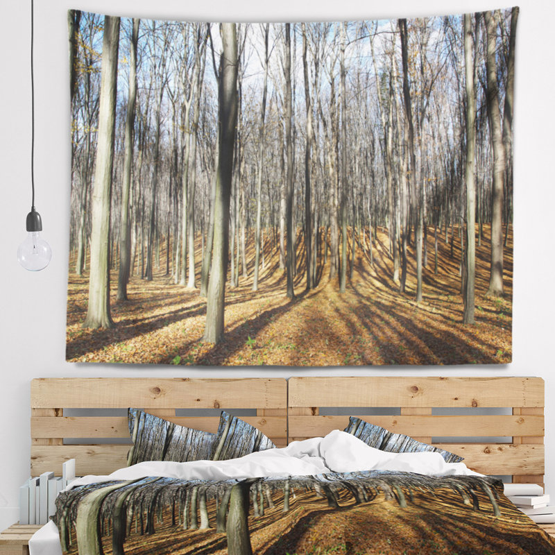Toile d'ombre du soleil dans la forêt d'automne, H 50 po x l 60 po