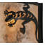 Gecko 1 - Light Flush Mounted Sconce