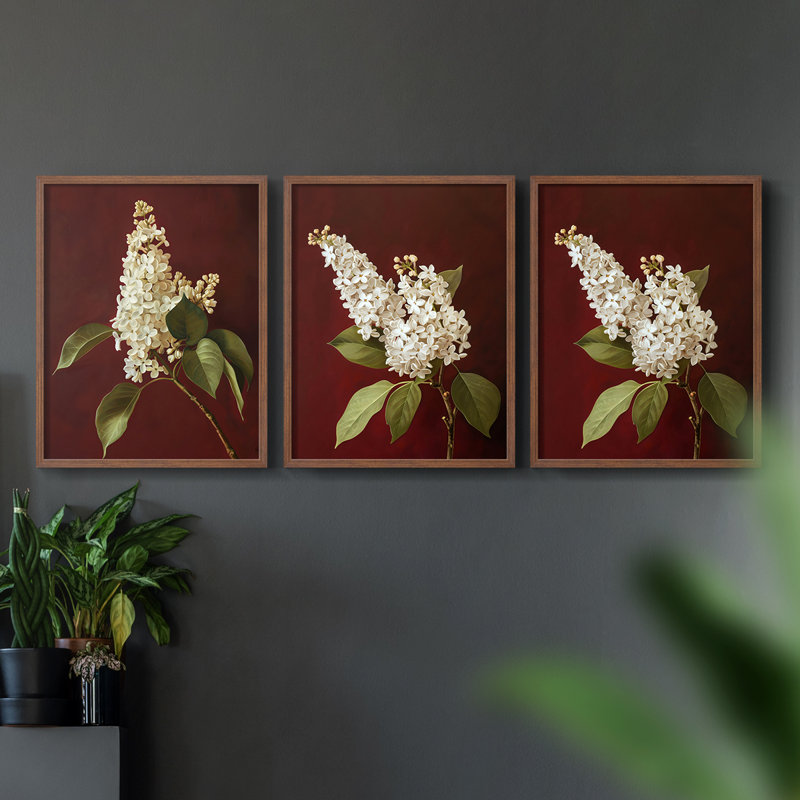 Série d'étude florale LXIX - ensemble de 3 estampes numériques encadrées - prêt à être accroché, Noyer, H 10 po x l 8 po