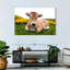Adorable vache Aubrac-107701965