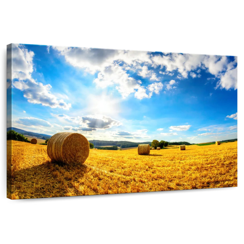 Alvord Sunny Hay Field, 34" H x 51" W