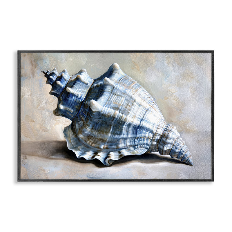  Art classique de conque giclée par Petal Prints Design, H 12 po x l 18 po, Giclée encadrée noir minuit