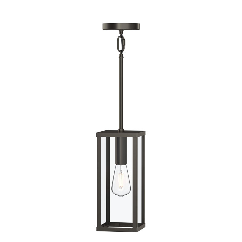 Luminaire suspendu d'extérieur à une lumière avec panneaux de verre transparent Ryle, Bronze Antique