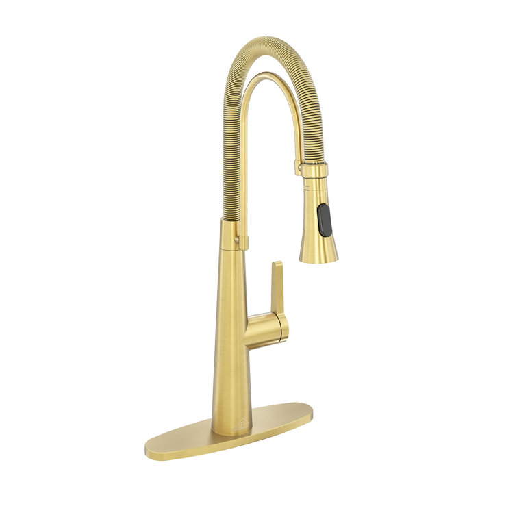 Spring Neck Standard Kitchen Faucet with Dual-Function spray head and Deck Plate