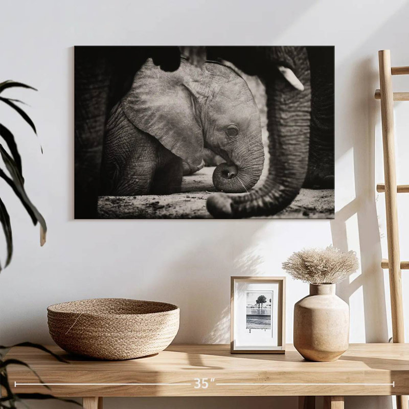 Brampt Napping Baby Elephant, 30" H x 45" W
