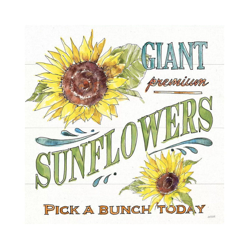 Sunflower Fields IV by Anne Tavoletti - Wrapped Canvas Print, 45.72 cm H x 45.72 cm W