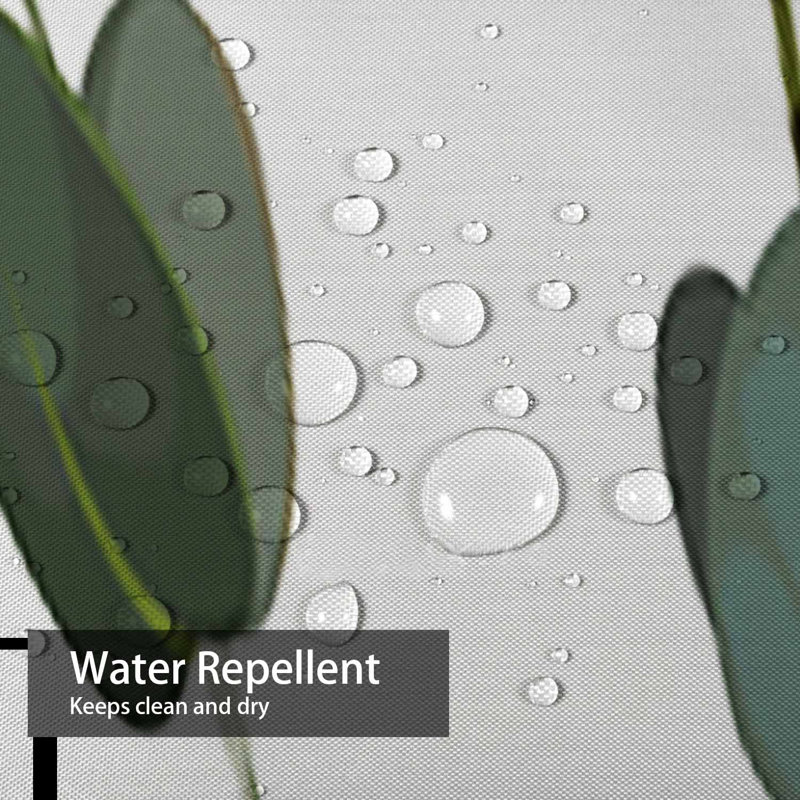 Rideau de douche Eucalyptus, L 72 po x l 84 po