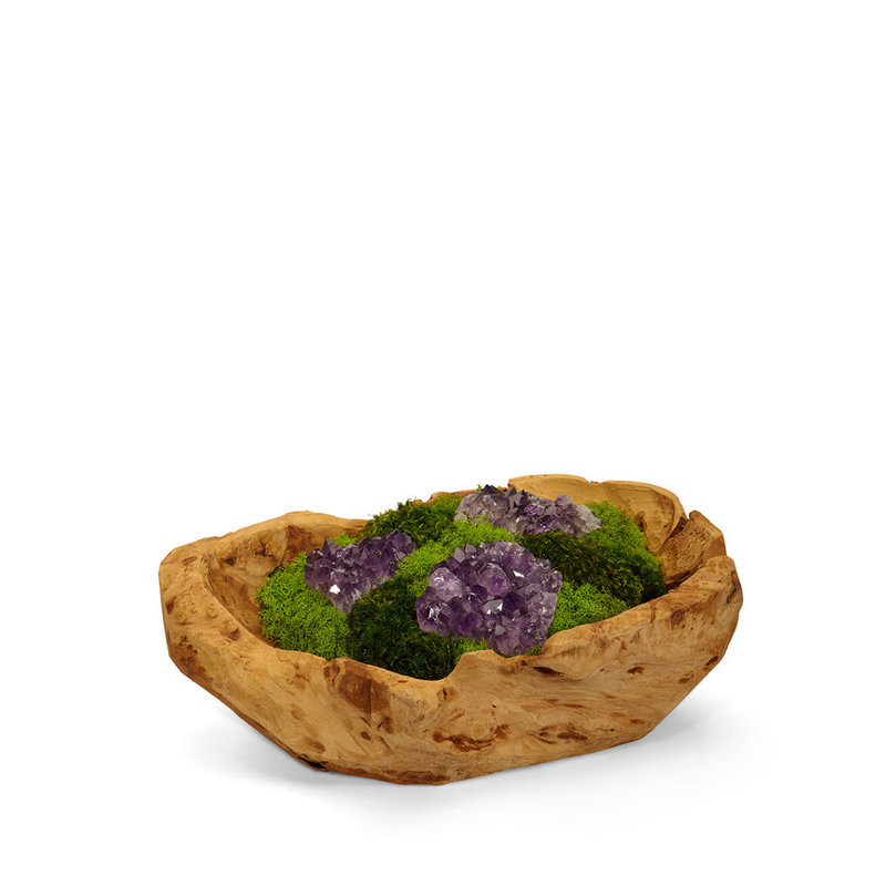 Moss Plant in Wood Planter