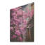 Rose konini fuchsia II - Fuschia sur bois-269070863