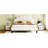 Queen Size Platform Bed With Beige Velvet Fancy Pattern Headboard Upholstered Decorative In Beige,-1445264107-1445264101