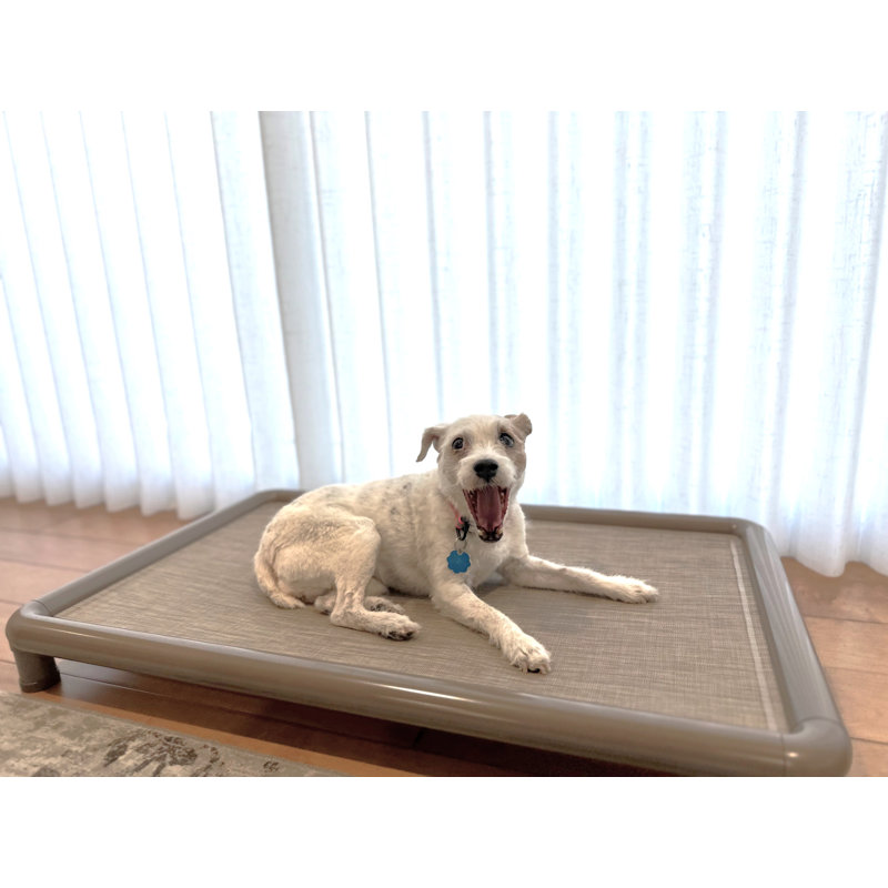 Cooling Elevated Dog Bed, Brown, 6.75" H x 21.5" W x 34.5" D