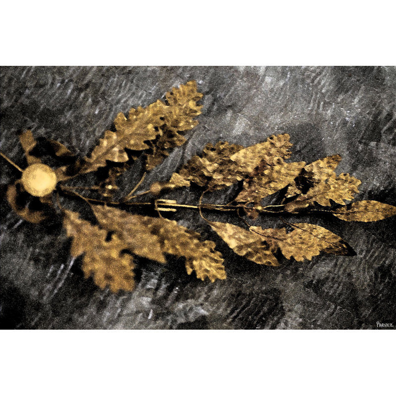 Parvez Taj - Wrapped Canvas Print, 101cm H x 152cm W