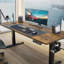 Adjustable Computer Desk-421960583