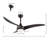 Coleigh 52'' Ceiling Fan with LED Lights-2010980607