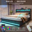 Storage Bed-1386458446-1386458445