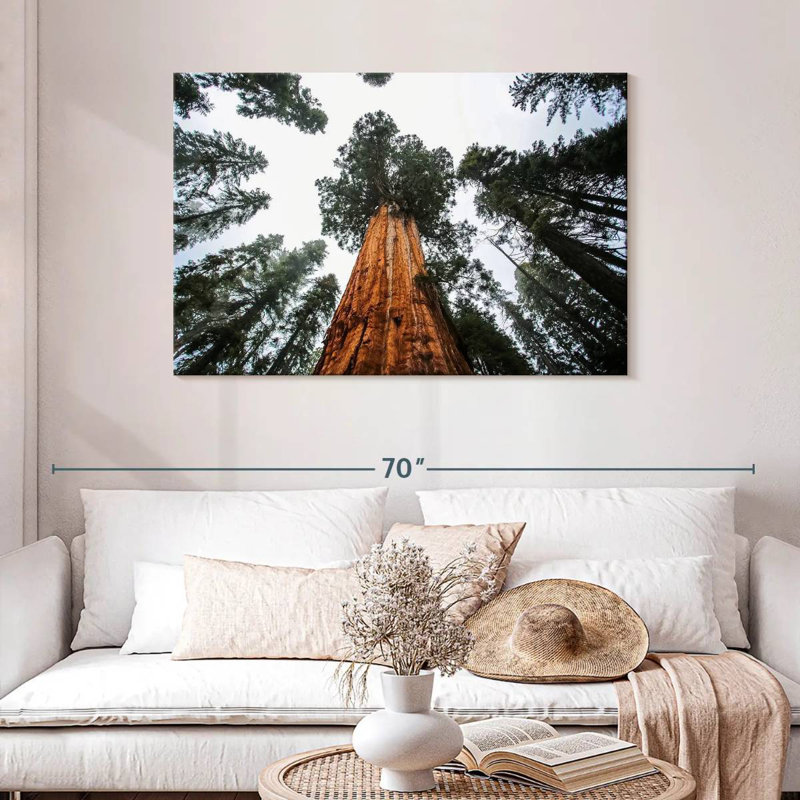 Harnek Giant Sequoias, 30" H x 45" W