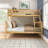 Bolles Twin Over Full Solid Wood Standard Bunk Bed-1475711027