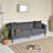 Modern Sofa