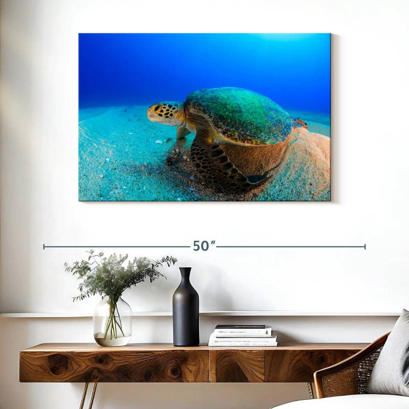 Brampt Resting Sea Turtle, 26" H x 39" W