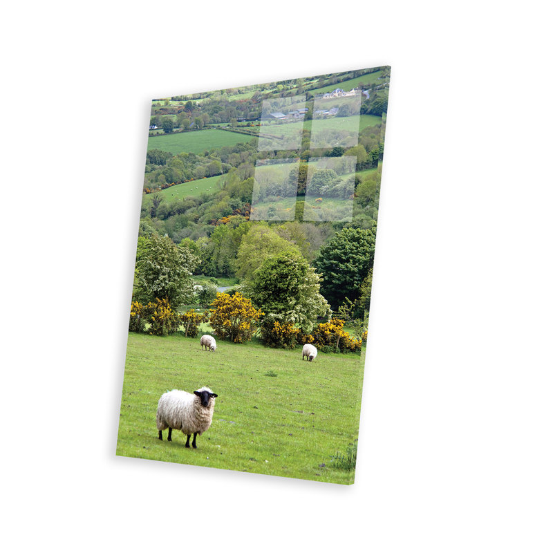 Paysage de campagne de Wilburne, péninsule de Dingle, comté de Kerry, province de Munster, République d'Irlande sur plastique / acrylique par Marilyn Parver, impression