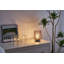 Eldaras Metal Table Lamp
