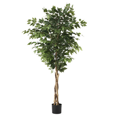 180Cm Artificial Tree, Glossy Foliage, Twisted Trunk, Pre - Potted, 30.83 W X D Size, Interior Space Improvement 71.00 High Abundant Leaves, Home Decor