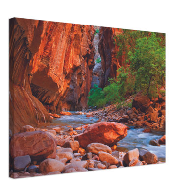 Virgin River, Zion National Park Print - Utah Canyon Landscape Wall Art - Scenic River Nature Canvas Poster - Zion National Park Adventure Artwork - Travel Outdoor Decor - Rustic Southwest Wall Hanging - Modern Home Decoration Art Print