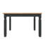 4 -Person Pine Solid Wood Dining Set-1725855001-1725855002