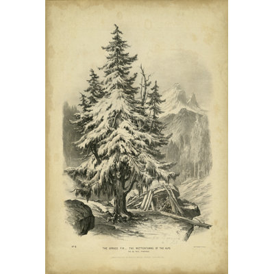The Spruce 1 Piece Wrapped Canvas Wall Art