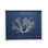 Sealife Print