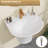 22"W × 18"D × 15"H Wall-Mount Ceramic Bathroom Sink with Rear Ledge, Standard Drain and Overflow, Residential & Commercial Use