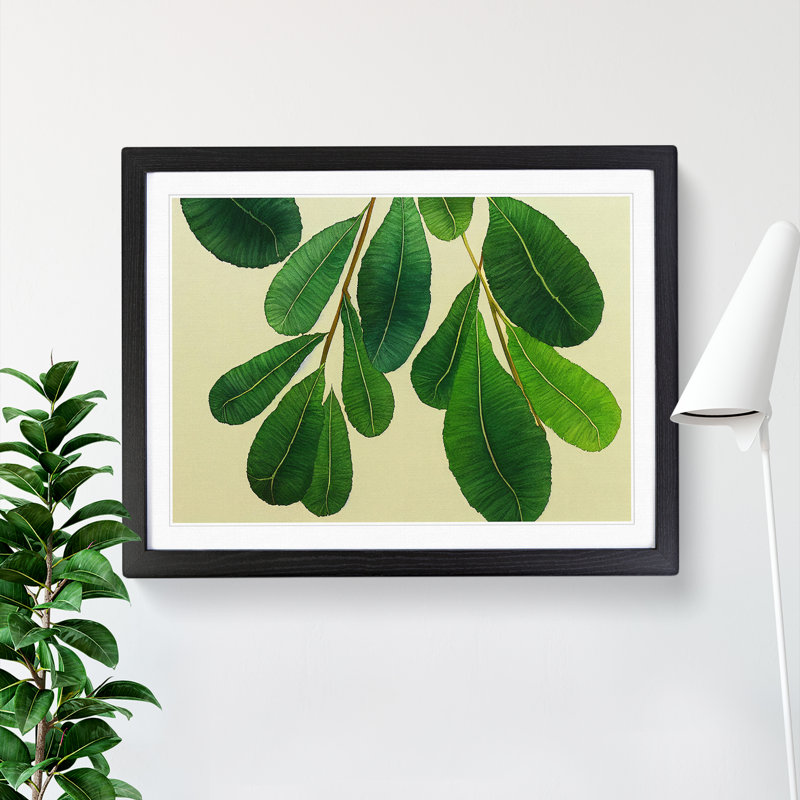 XH1022-7166X Pretty Leaves Vol.4 - Single Picture Frame Print, 25cm H x 34cm W x 2cm D, Black Framed