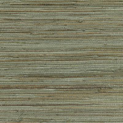 Reanna Grasscloth Wallpaper Roll