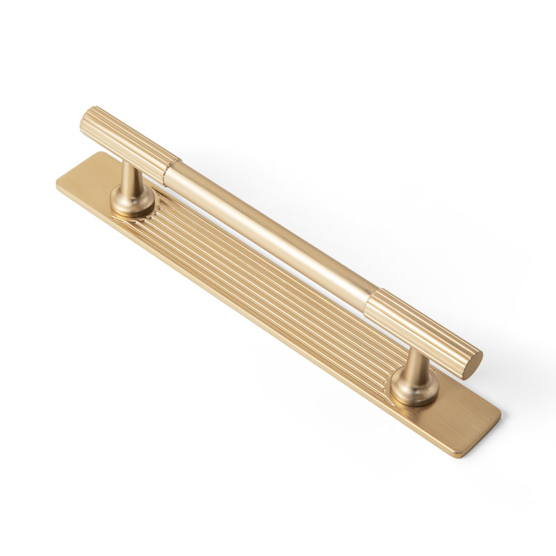 Sturdy Bar Pull With Backplate, Bronze champagne, 5"