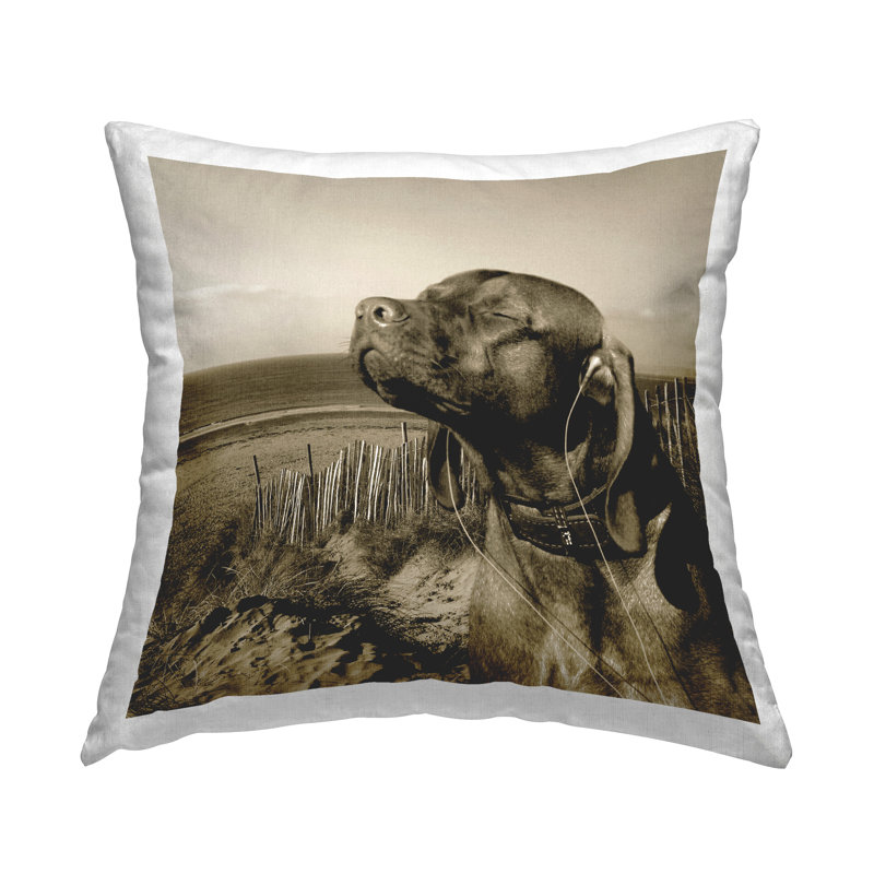 Coussin Relaxed Dog with Music