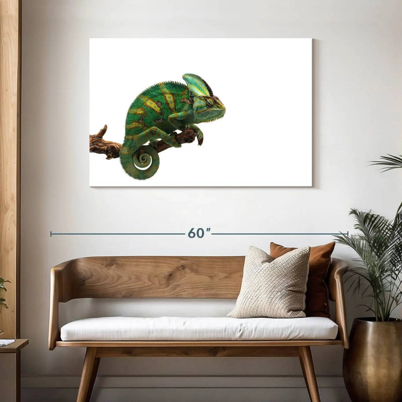 Green Veiled Chameleon, 30" H x 45" W