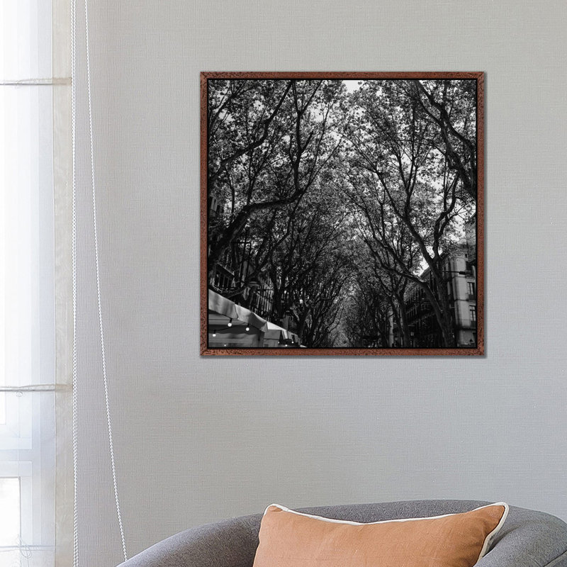 La Rambla by Bethany Young - Print on Canvas, 66.04cm H x 66.04cm W x 3.81cm D, Classic Brown Wood Framed