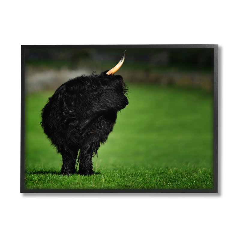«Fuzzy Yak Look Away Lush Grass Field» par James Dobson - photographie à cadre flottant sur toile