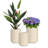 Allenville Fiberstone Plant Pot-315919489-394697158