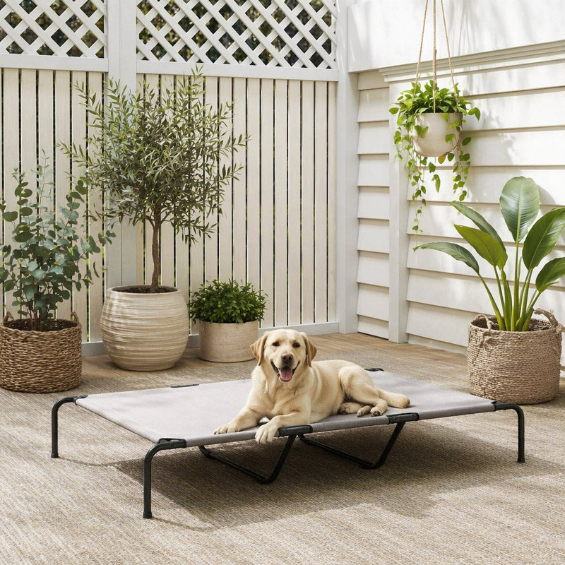 Structure pour chien en acier pour chien, Beige