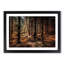 Within the Woods - Framed Print-55613129-55613132
