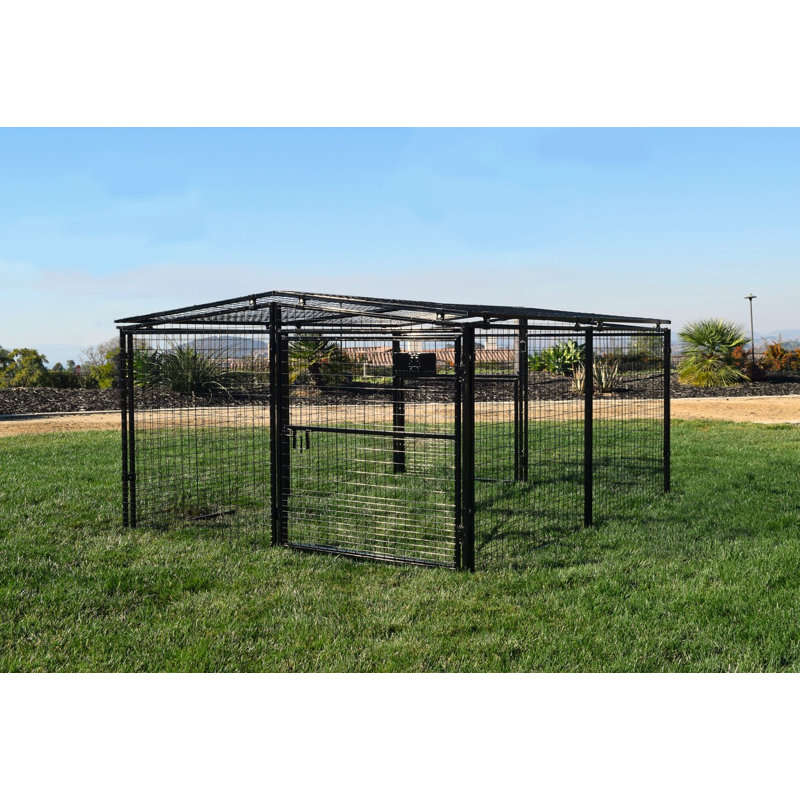 Francesca 48'' H Panel Metal Yard Kennel