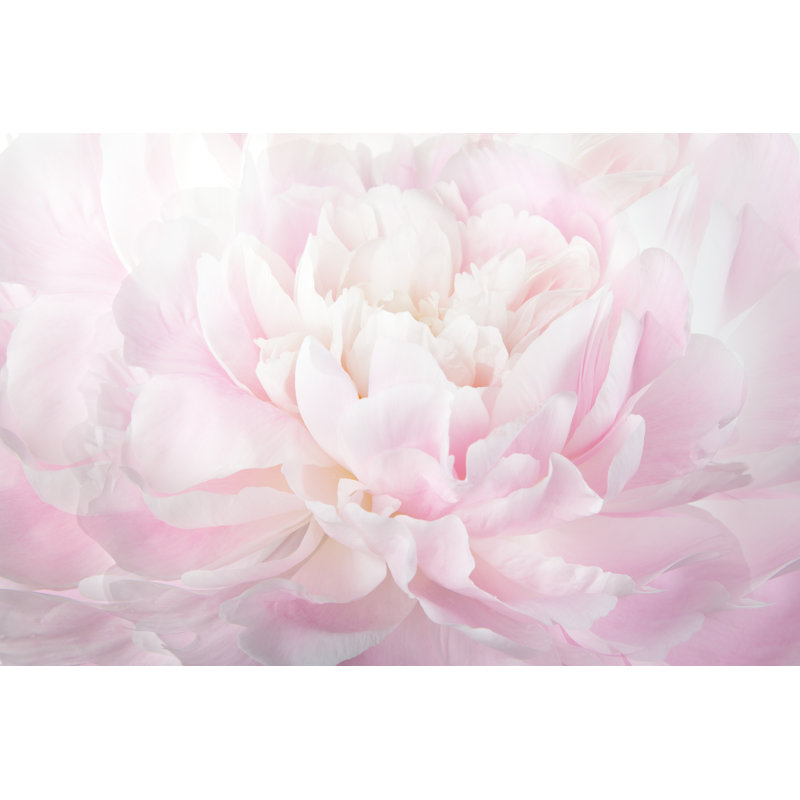 Floral Abstract Context par Ksenia_Pelevina - Photographie de toile tendue, H 32 po x l 48 po