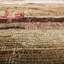 One-of-a-Kind 5'5" X 8'6" Hand Knotted Area Rug
