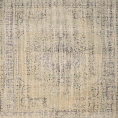 Oriental Indoor Rug