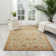 Carlee Wool Floral Indoor Rug