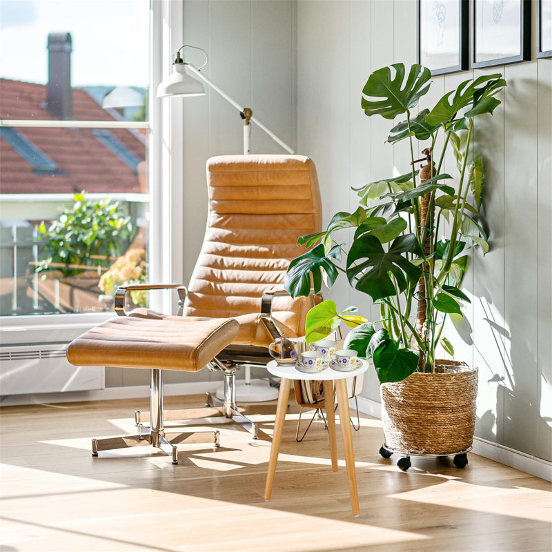 Bentham Plant Stand